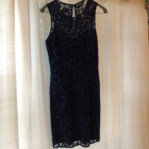 Navy blue and black lace midi dress by BB Dakota